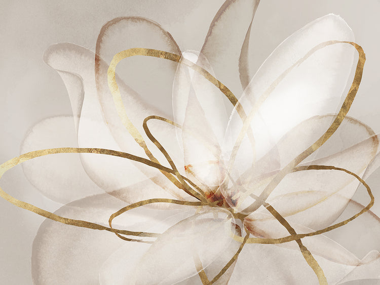 Transparent Beauty III