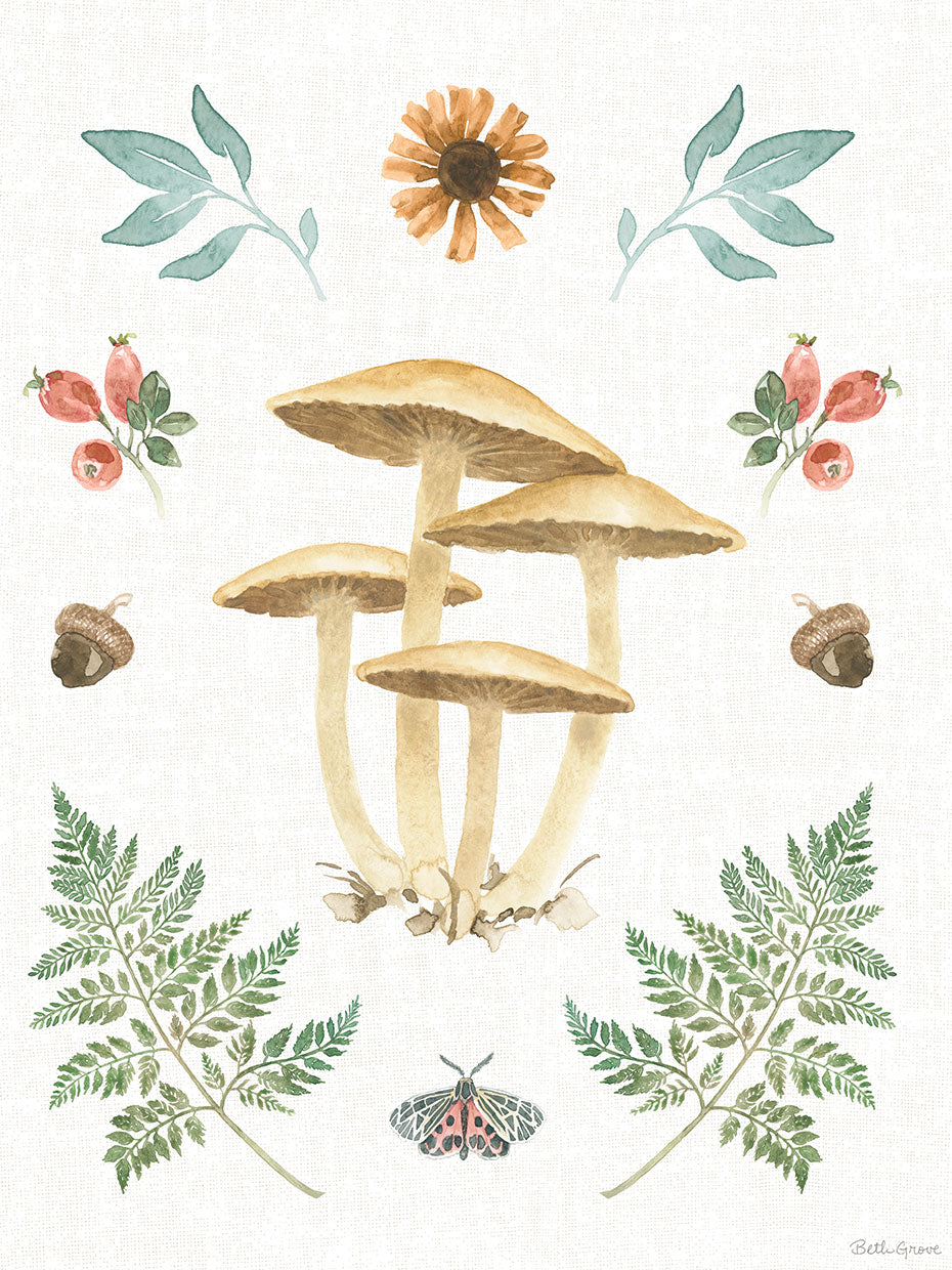 Forest Finds X