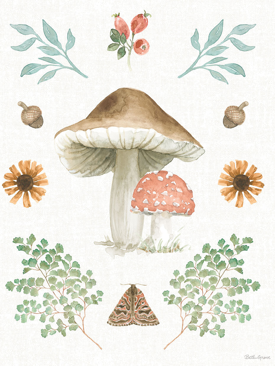 Forest Finds XI