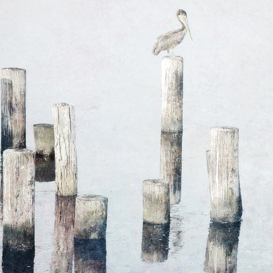 Perched Pelican Canvas Print