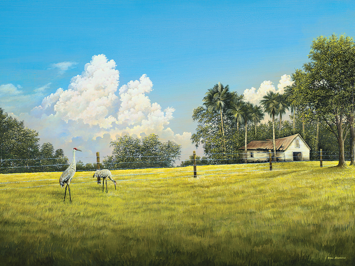 Crane Field