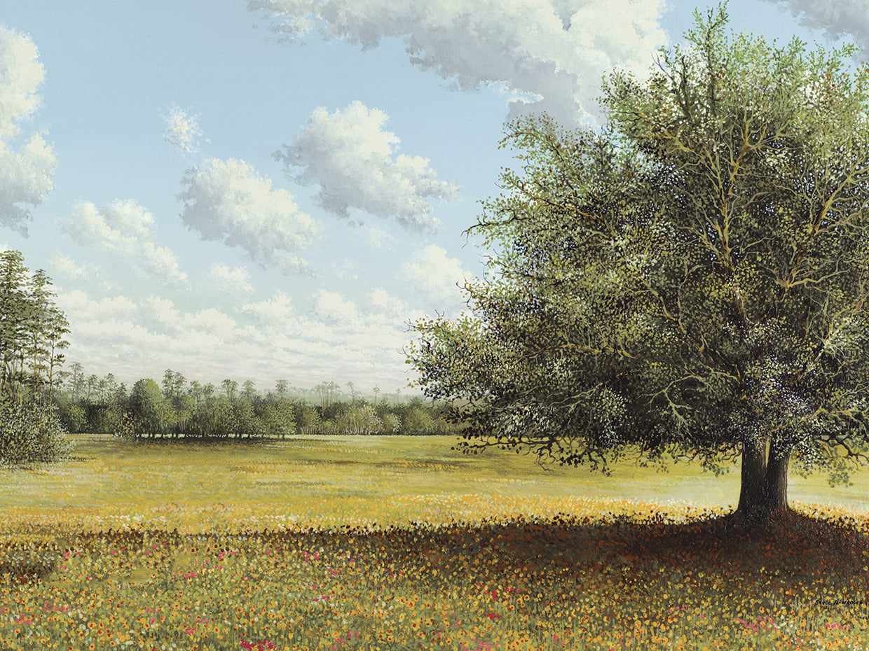 In the Field