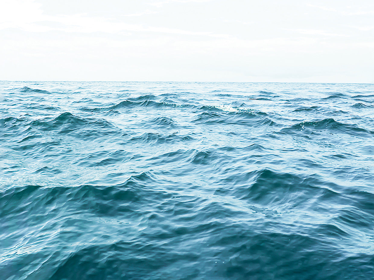 Blue Horizon