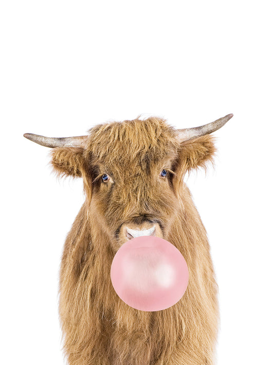 Bubble gum cow