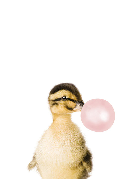 Bubble gum duck Canvas Print