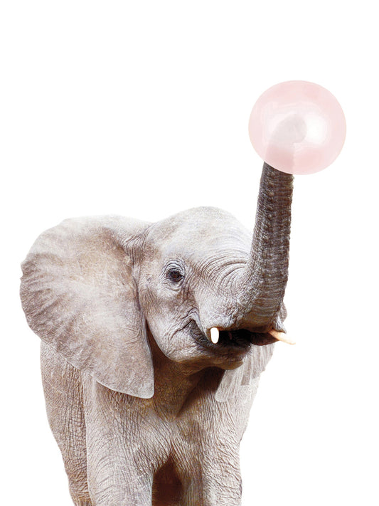 bubble gum elephant