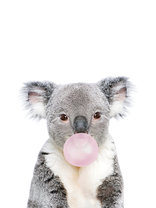 Bubble gum Koala Canvas Print