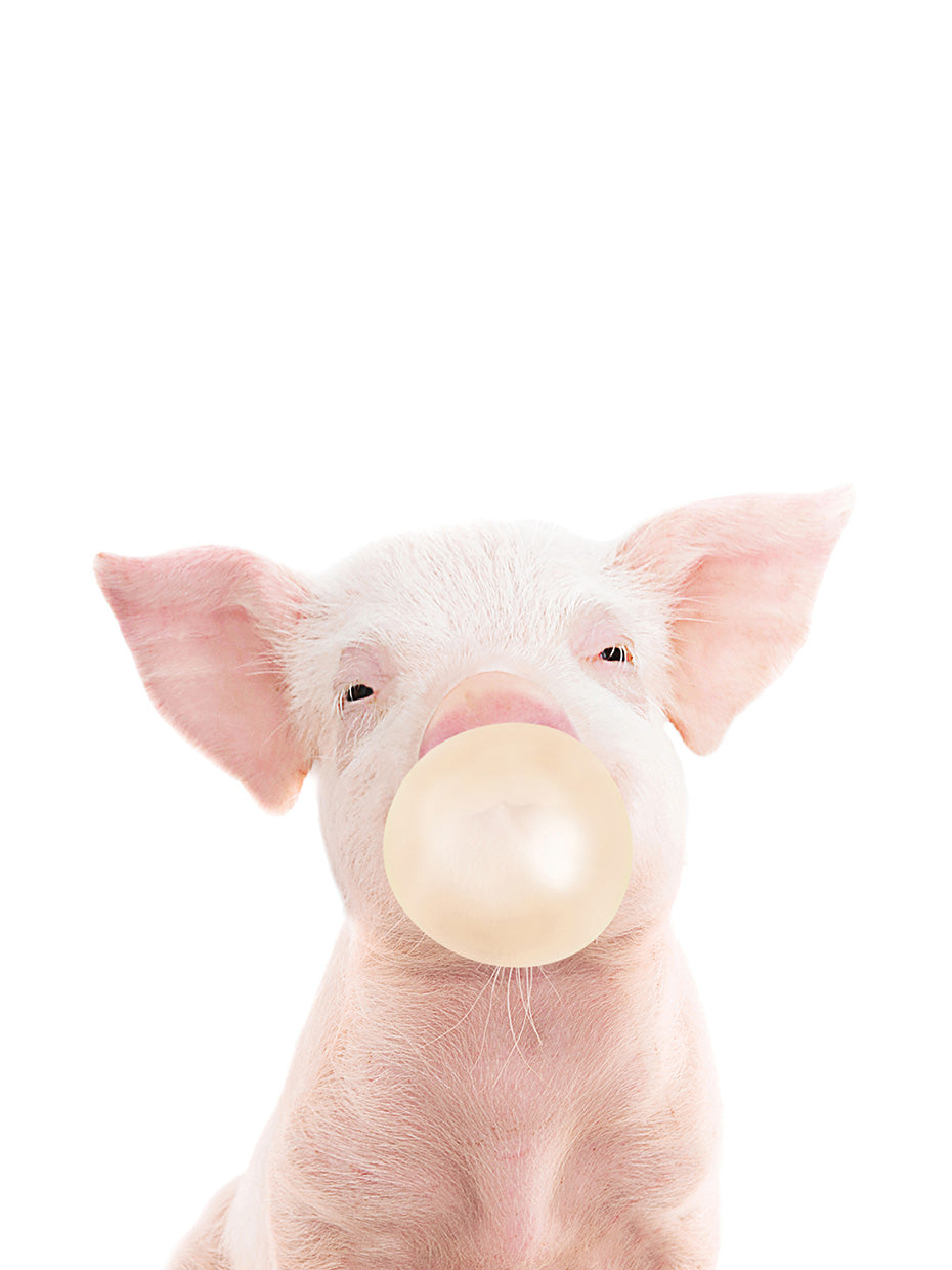 Bubble gum piglet