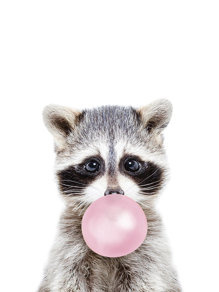 Bubble gum racoon