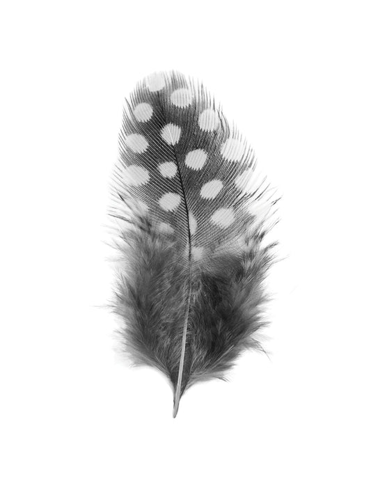 Dotted Feather