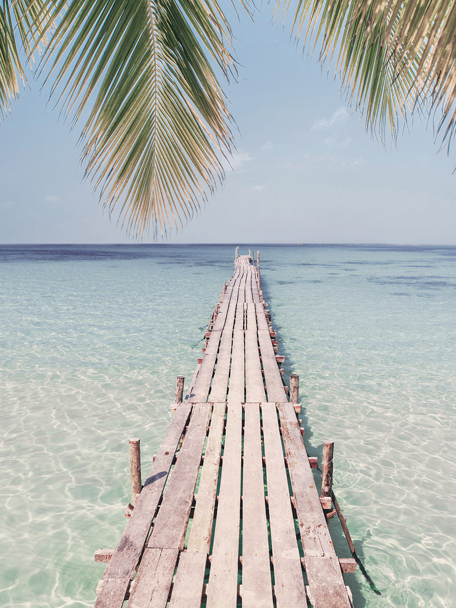 In Paradise