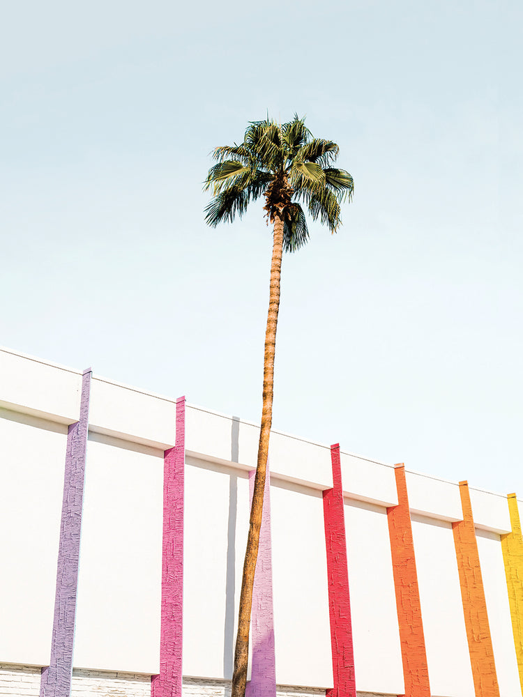 Palm Spring Colors 2