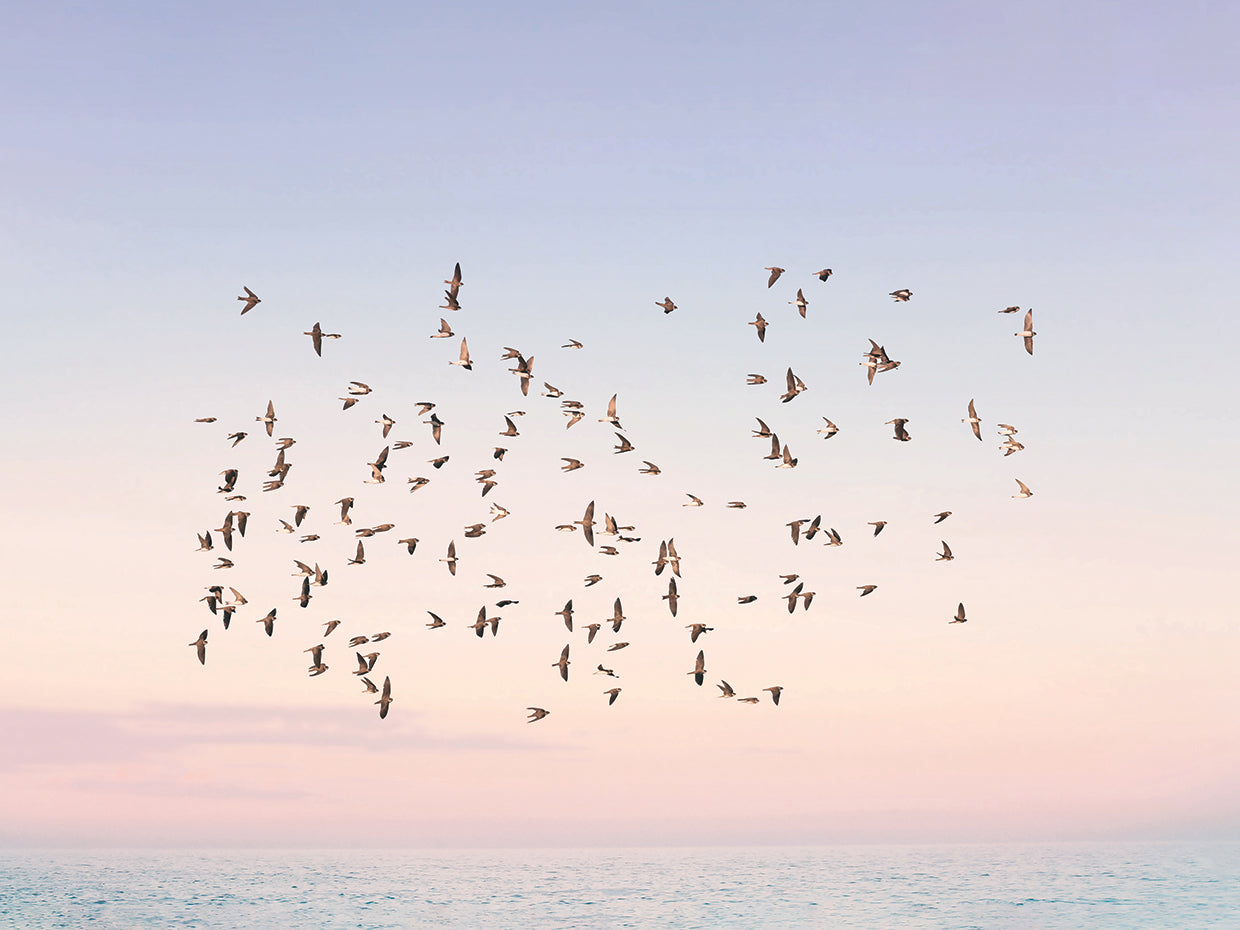 Pastel Sunset