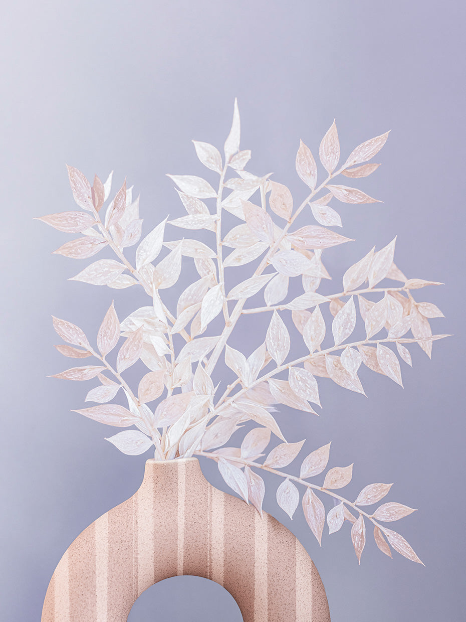 Ruscus