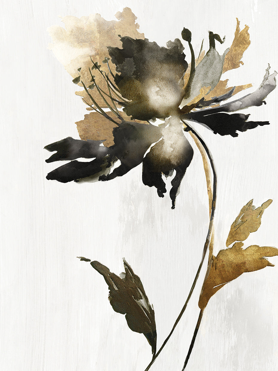 Black and Gold Floral