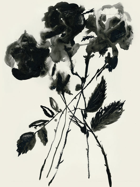 Black Flora Canvas Print