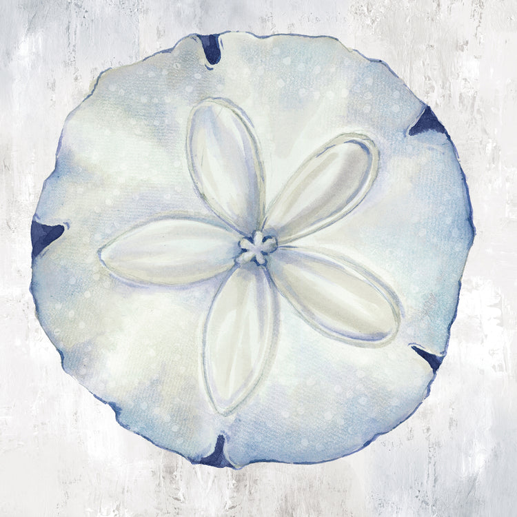 Blue Sand Dollar