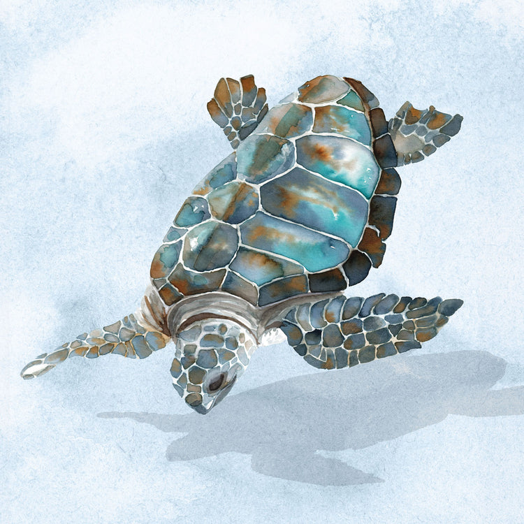 Blue Sea Turtle II