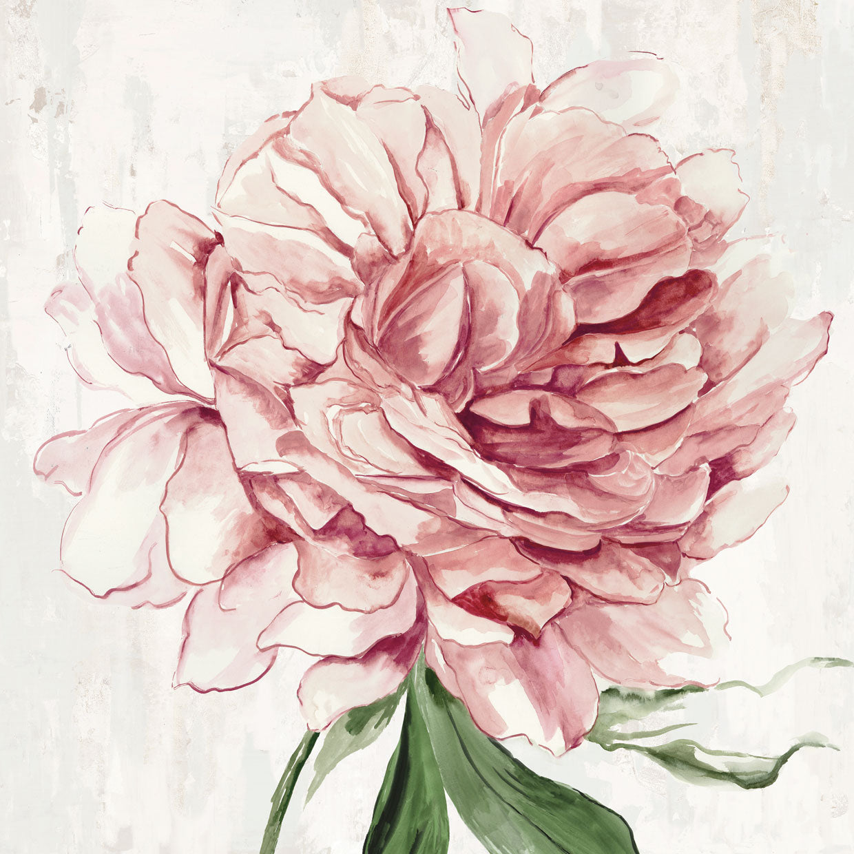 Blush Beauty