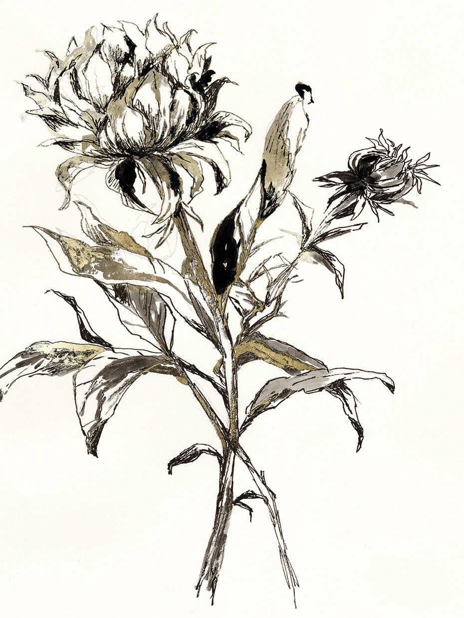 Botanical Seed I