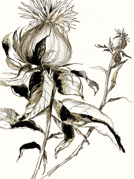 Botanical Seed II Canvas Print