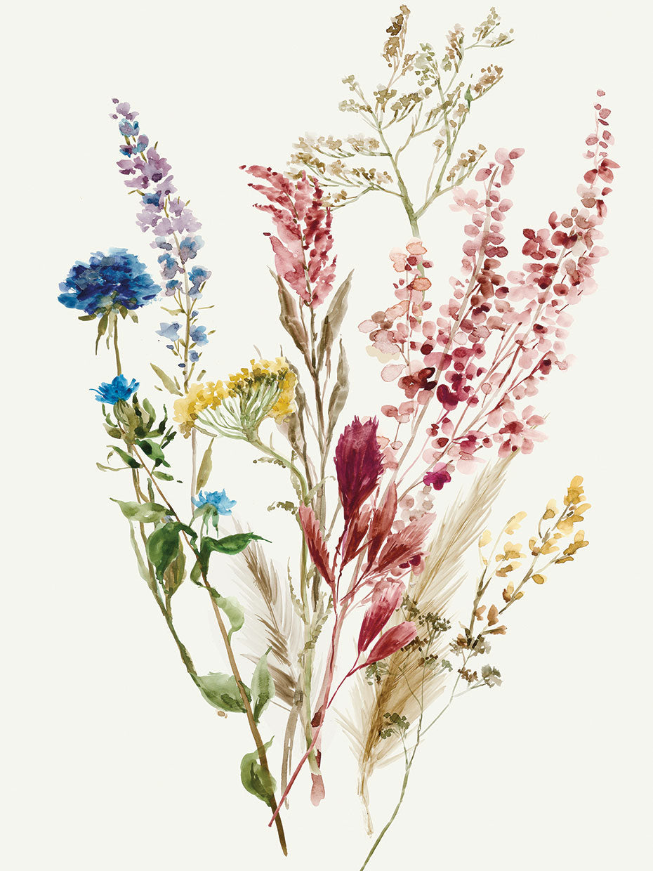 Delicate Flowers I