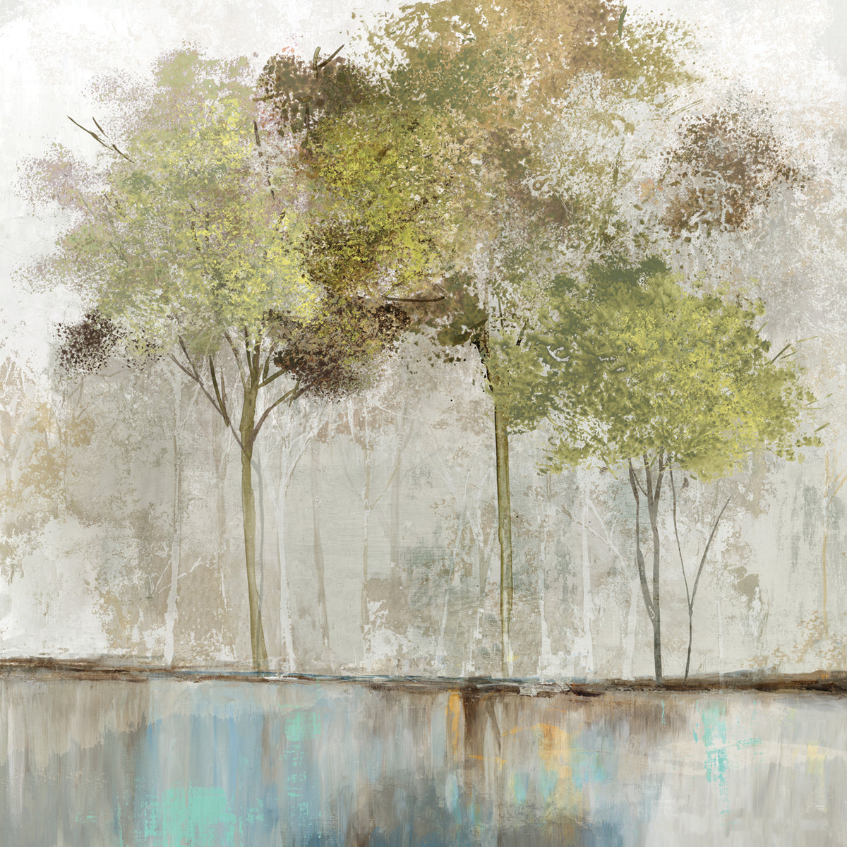 Olive Trees