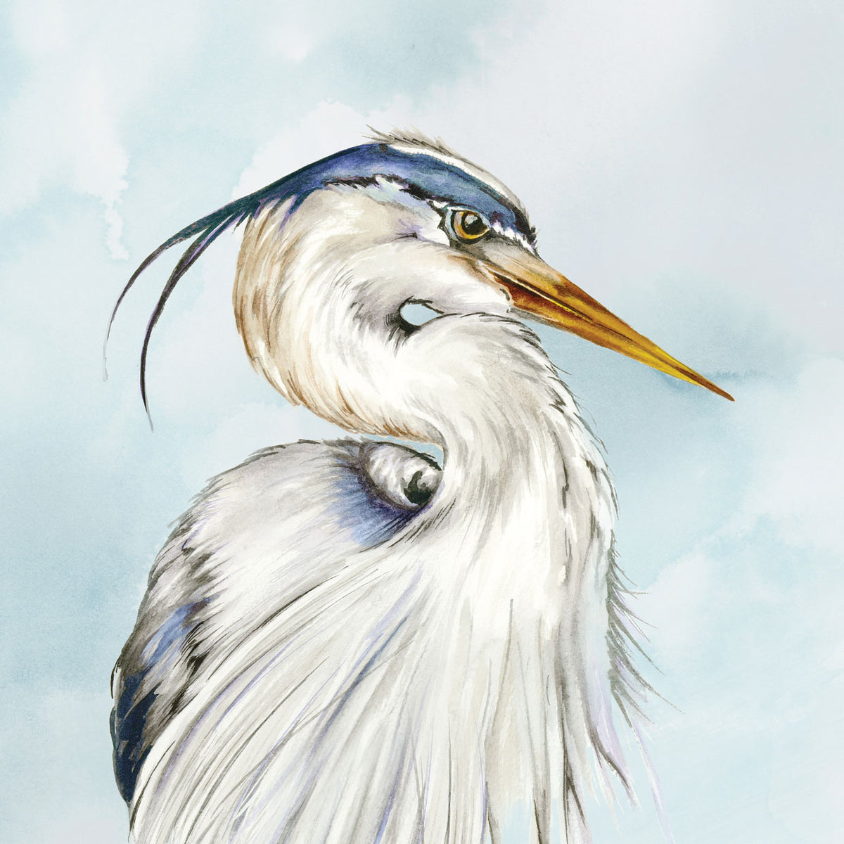 Portrait of Nature