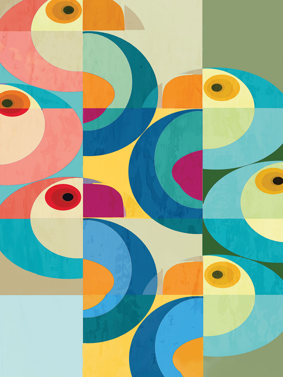 Retro Toucan