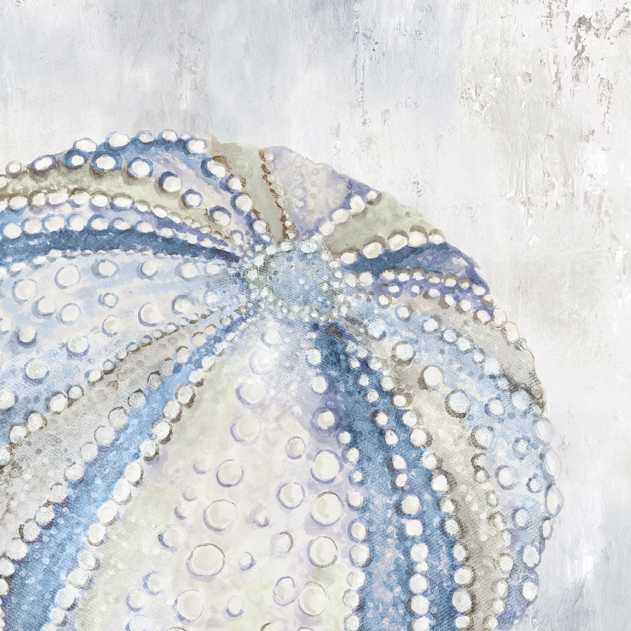 Soft Blue Sea Urchin