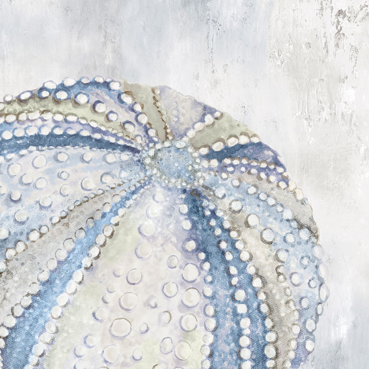 Soft Blue Sea Urchin