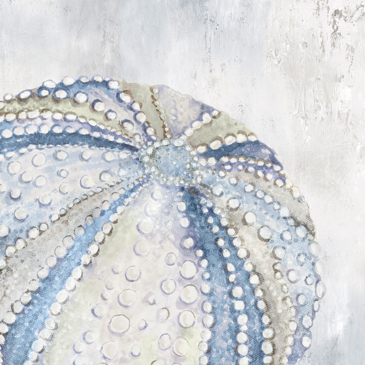 Soft Blue Sea Urchin