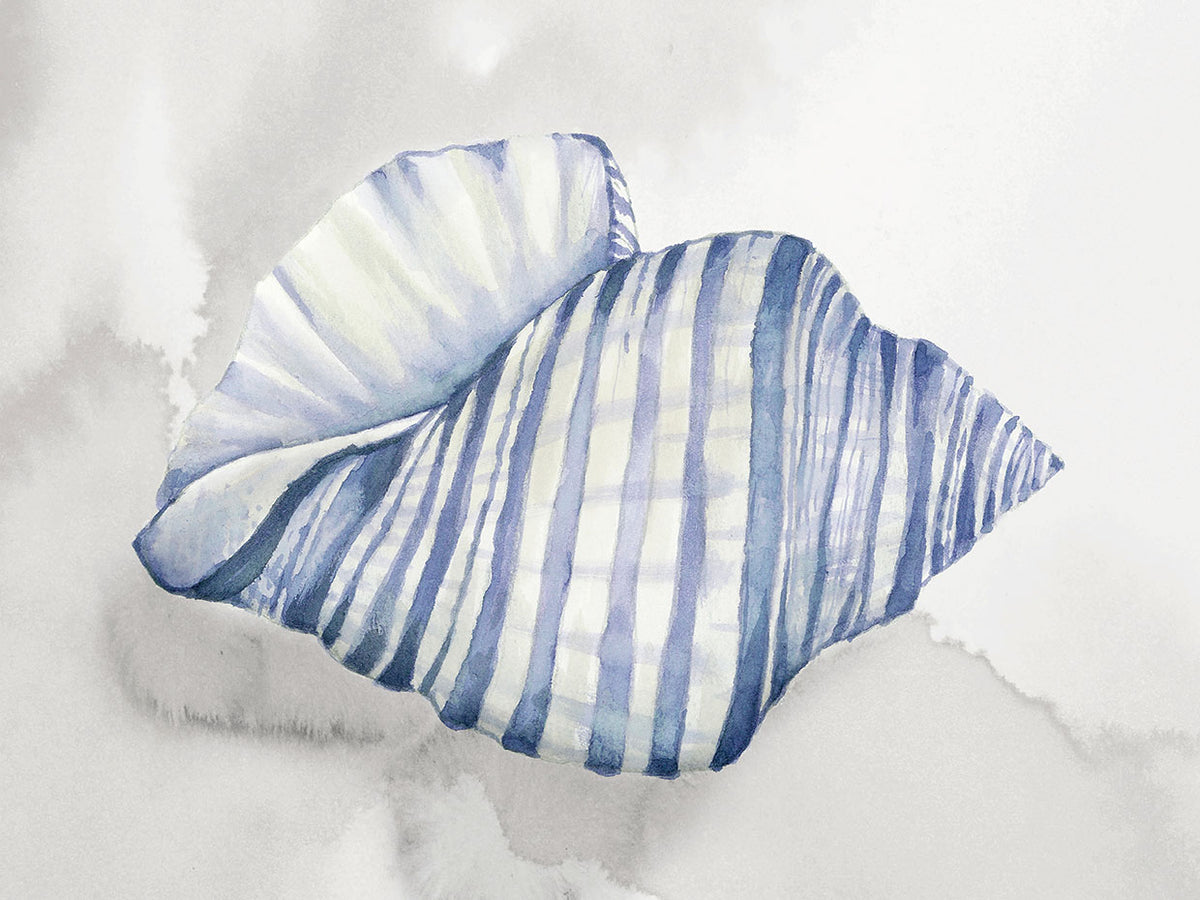 Soft Blue Shell I