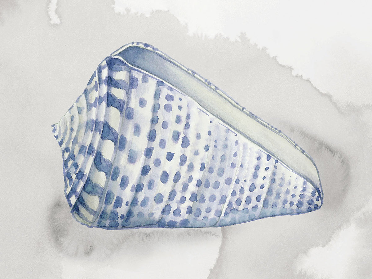 Soft Blue Shell II