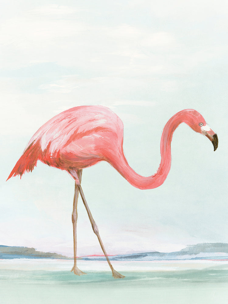 Summer Flamingo I