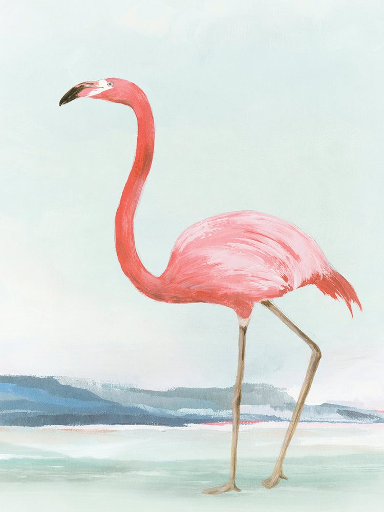 Summer Flamingo II