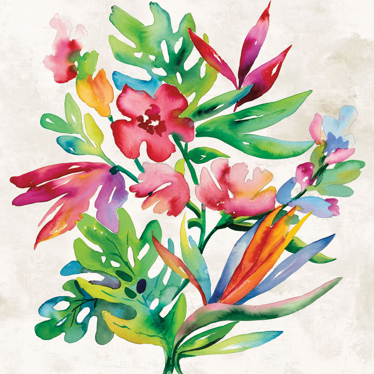 Tropical Bundle I