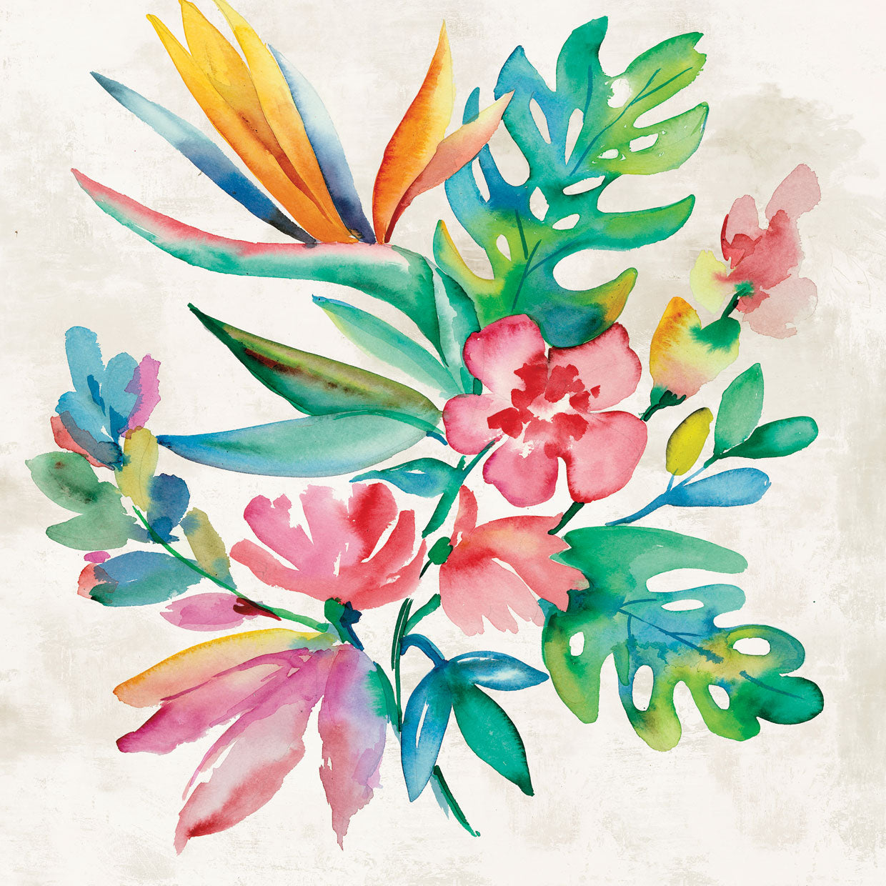 Tropical Bundle II