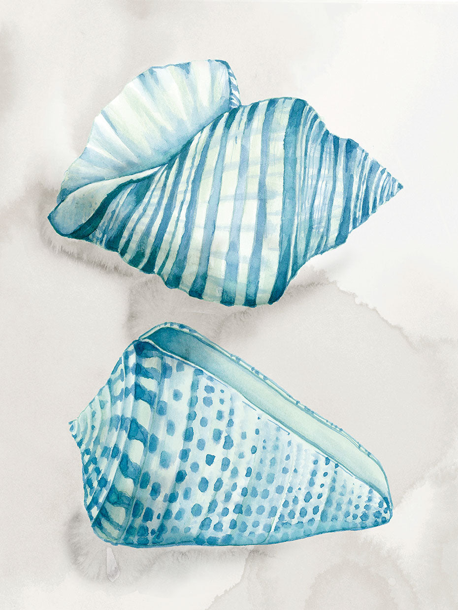 Two Soft Blue Shells