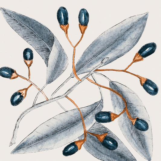Vintage Blue Botanical I Canvas Print