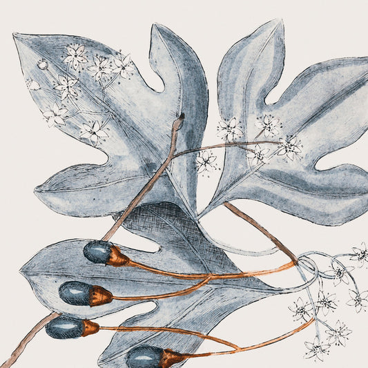 Vintage Blue Botanical II Canvas Print