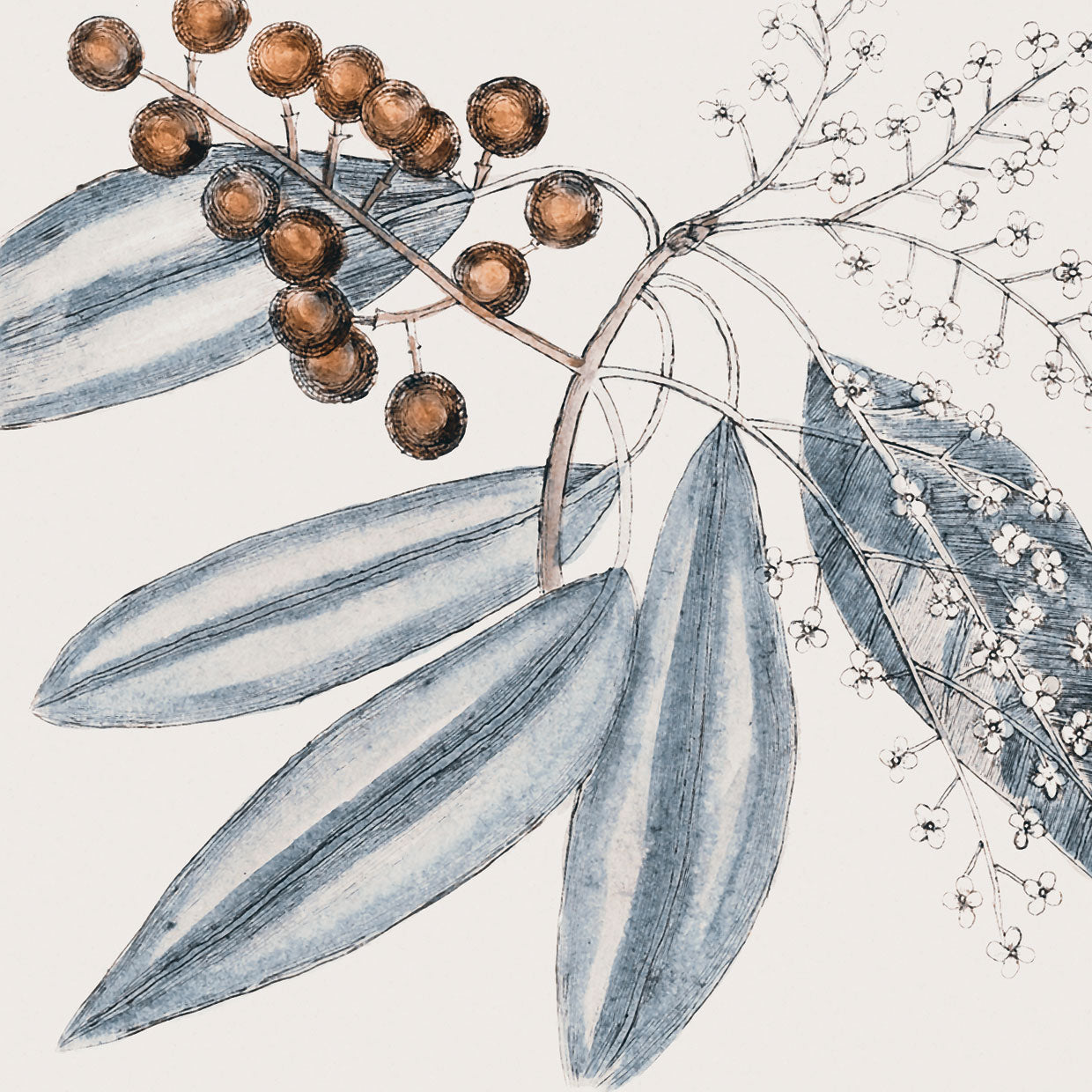 Vintage Blue Botanical IV