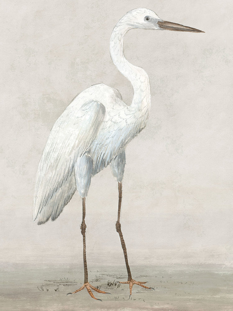 Vintage Heron I