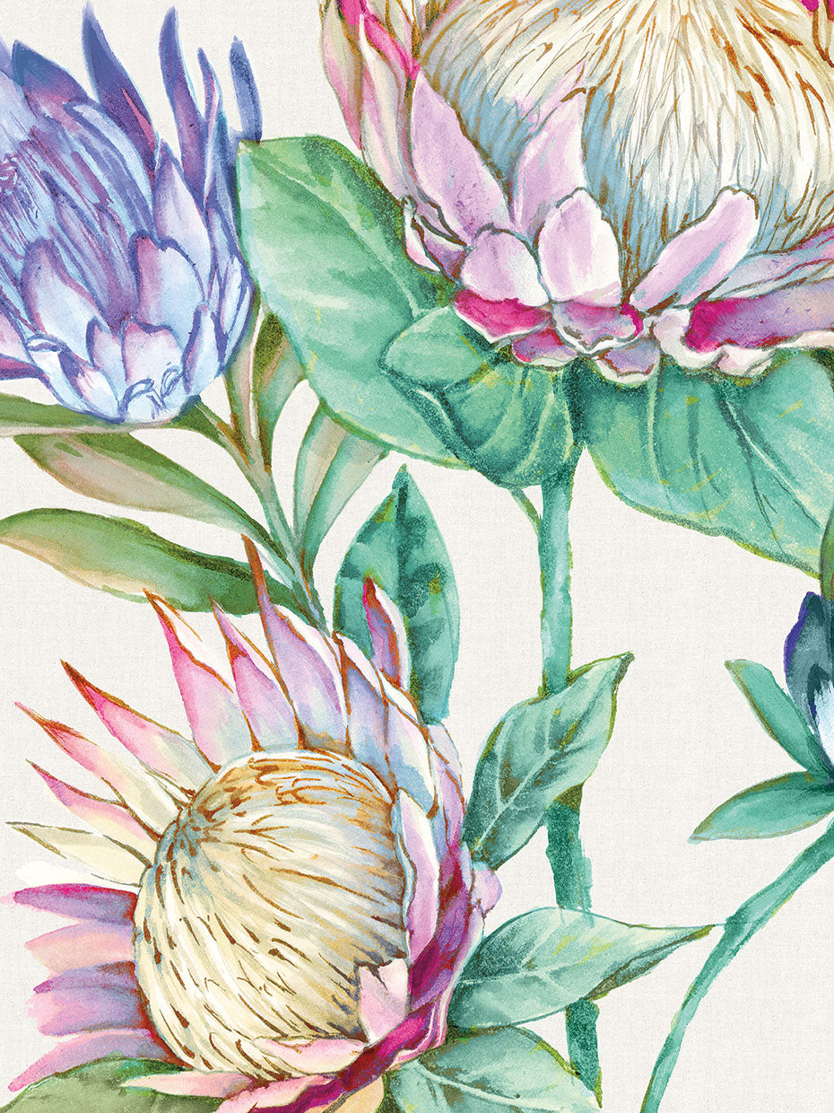 Wild King Protea