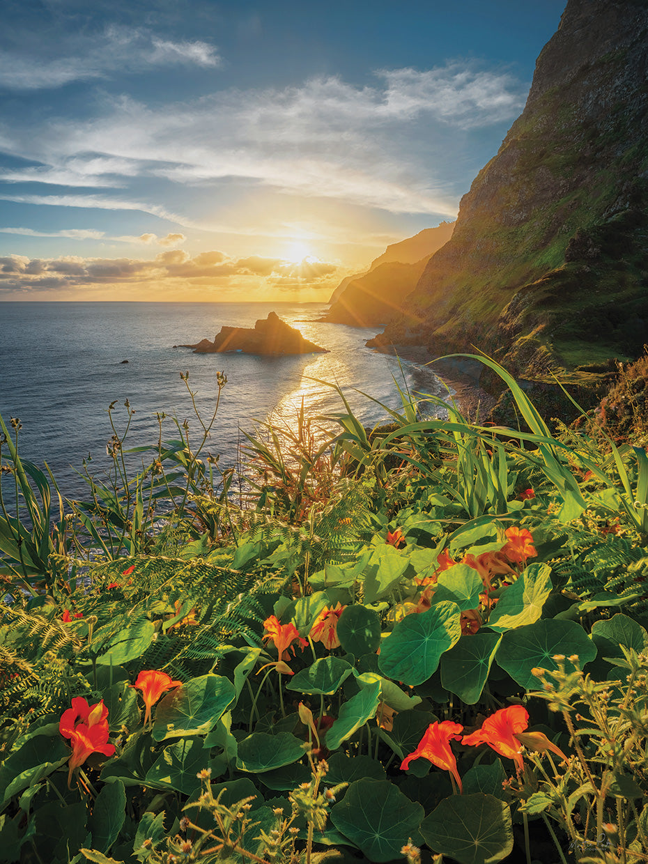 Sunrise in Paradise