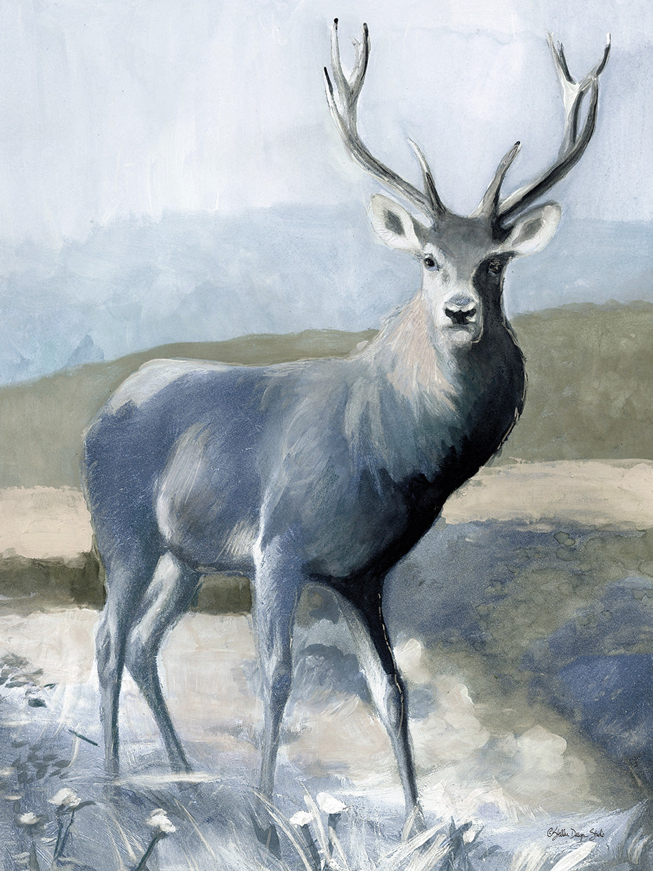 Elk in the Wild