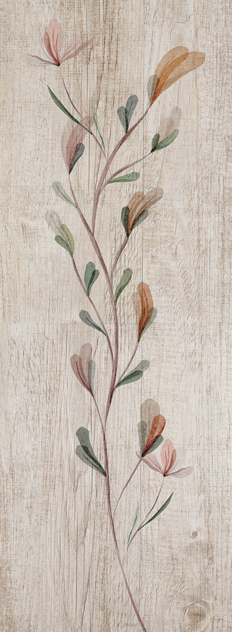 Calm Thriving Beauties