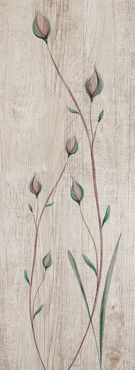 Calm Posies
