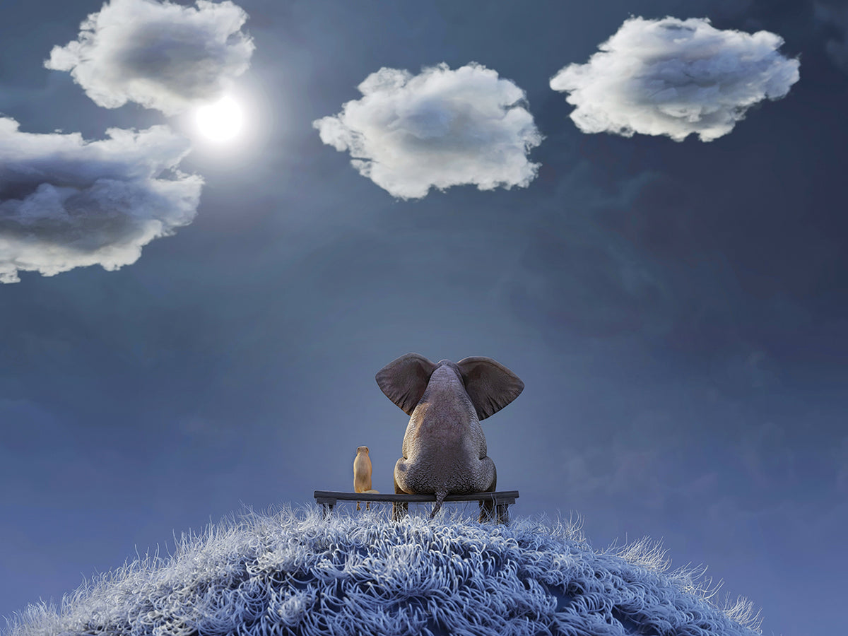Elephant And Dog Sit on a Hill At Night