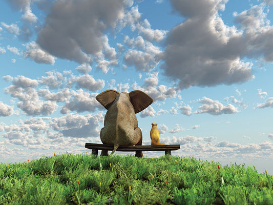 Elephant And Dog Sit at a Meadow